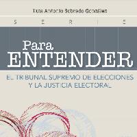  El Tribunal Supremo de Elecciones y la justicia electoral